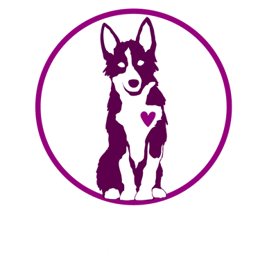 second chance dog rescue